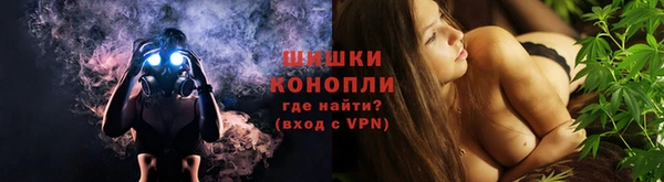 ГАЛЛЮЦИНОГЕННЫЕ ГРИБЫ Алзамай