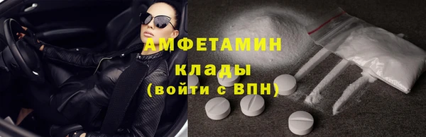 мет Алексин