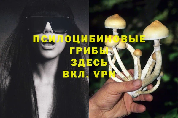 ГАЛЛЮЦИНОГЕННЫЕ ГРИБЫ Алзамай